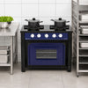 SEMINOVO - Forno Industrial a Gás Bravo Para Fogão 2 Bocas BRF2 Azul - Venâncio