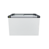 SEMINOVO - Freezer Horizontal 220V Tampa de Vidro Congelados 230 Litros NF30 - Metalfrio