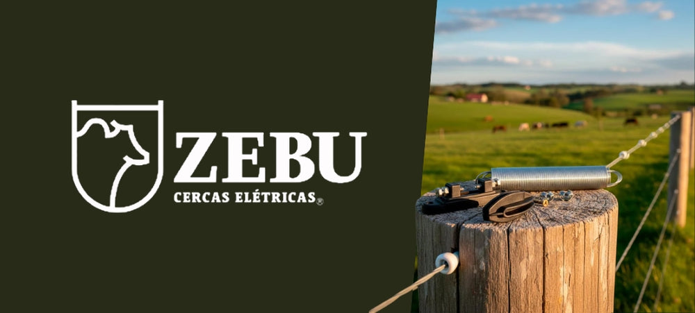 Zebu