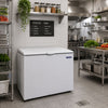 SEMINOVO - Freezer Refrigerador 127V Congelador Horizontal Dupla Ação 293l DA302 Metalfrio