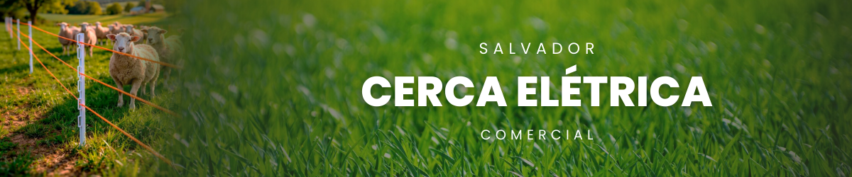 Cerca Elétrica
