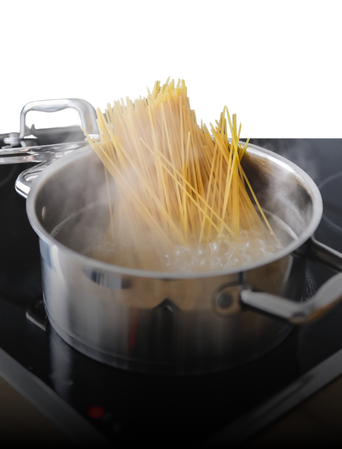Domésticos