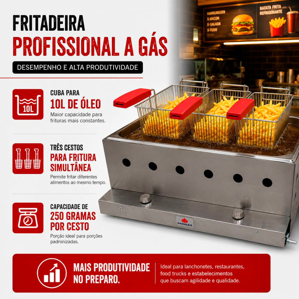 SEMINOVO - Fritadeira Profissional a Gás uma Cuba Grande retangular 10L Três Cestos Pr-30g - Progás