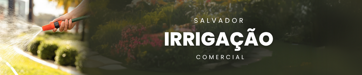 Irrigação