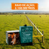 Eletrificador Cerca Elétrica Pequenas Propriedades 4.500m PPCR Bivolt + Voltímetro - Zebu
