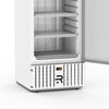 Visa Cooler Congelados Porta Sólida ar Forçado -18 a 5ºc 570l Vcco570psafb Branco 220v - Refrimate