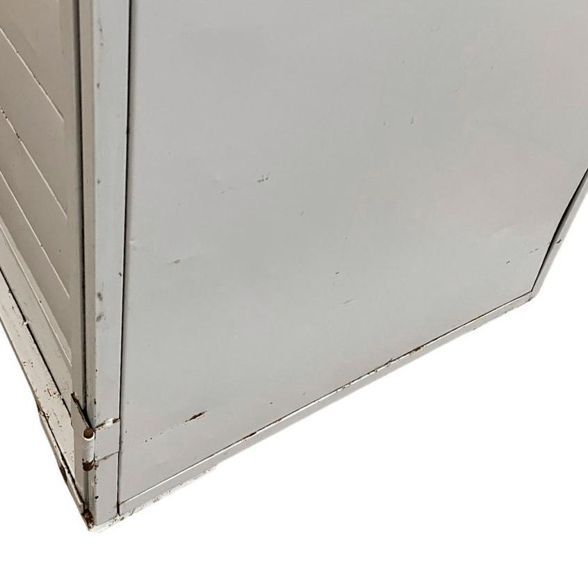 SEMINOVO - Kit Armário Crescimento Para 20 Esteiras AC20 + 26 Esteiras/formas - Venâncio