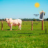 Eletrificador Solar de Cercas Elétricas Grande Propriedades Com Bateria ZS20i - ZEBU 3736-6