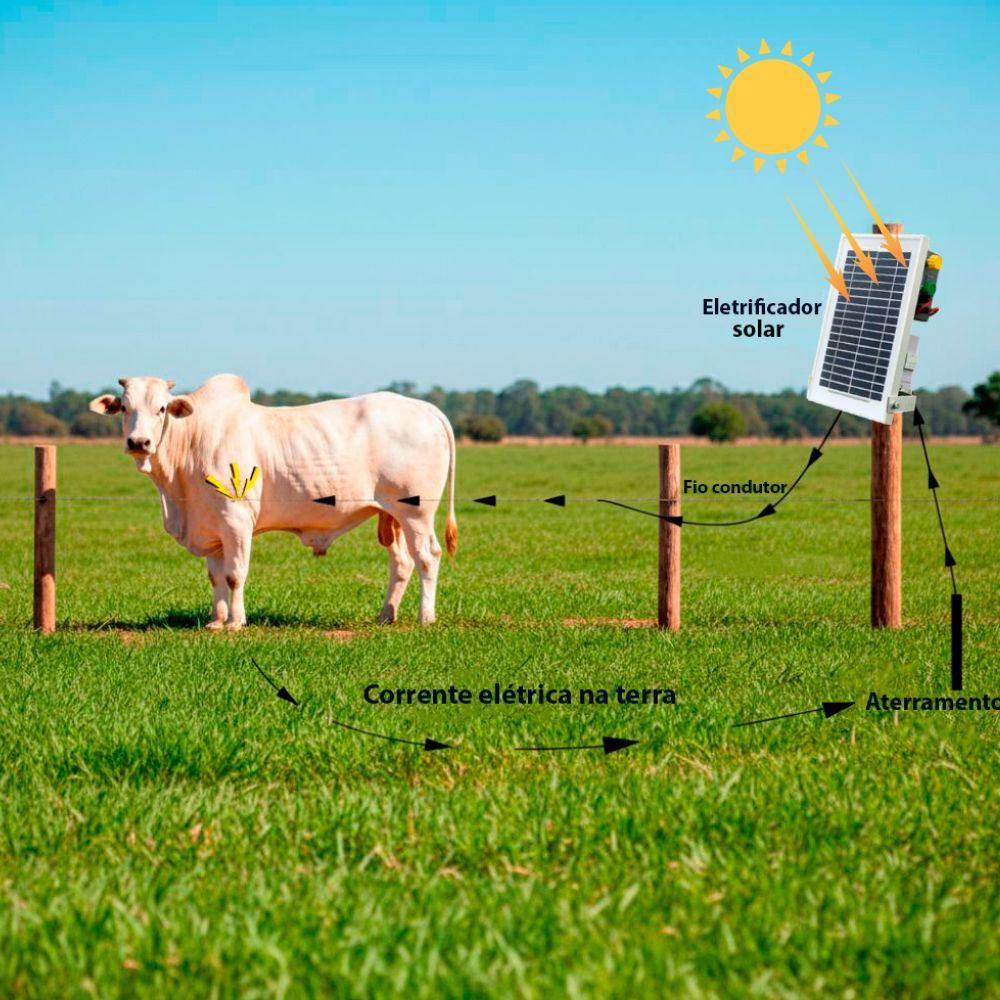 Eletrificador Solar de Cercas Elétricas Grande Propriedades Com Bateria ZS20i - ZEBU 3736-6