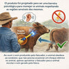 Ferrão Eletrônico Recarregável - ZEBU 1224-6