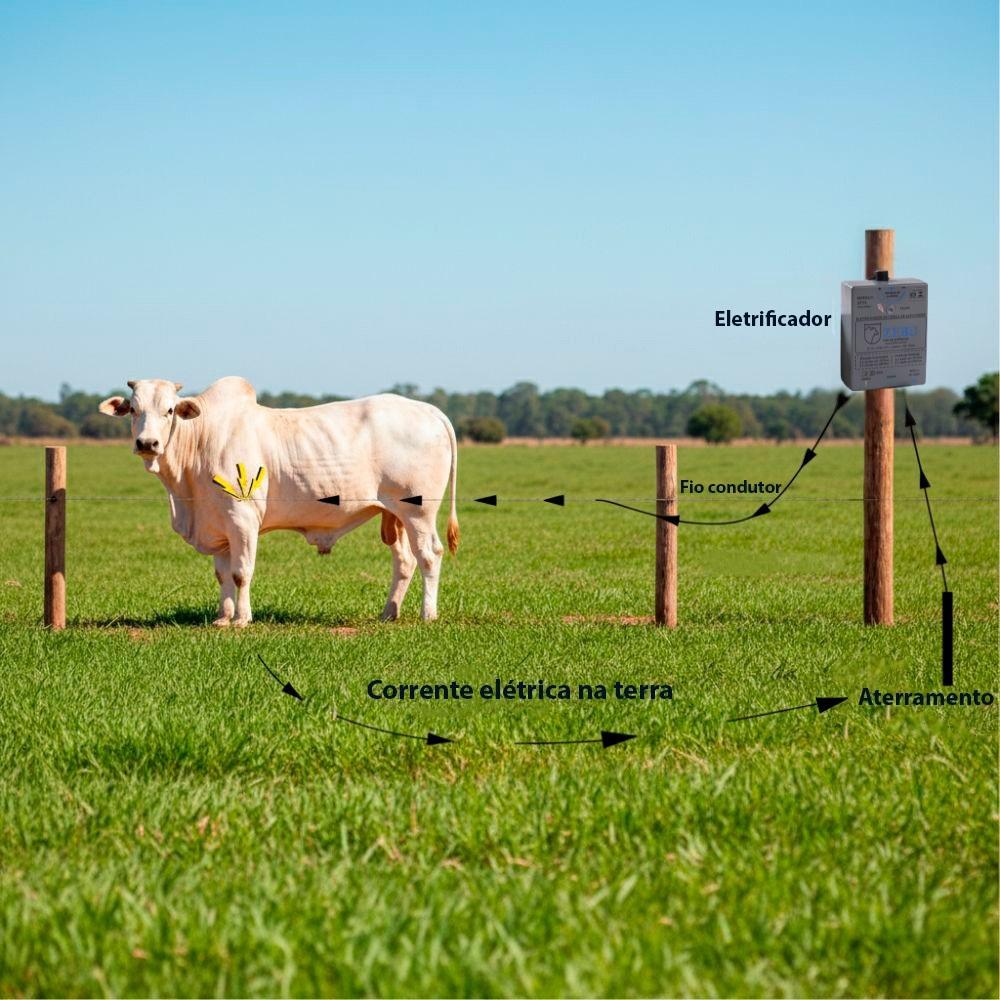 Eletrificador Cerca Elétrica Para Pequenas Propriedades 2.500m 2TT3 Bivolt + Voltímetro - Zebu