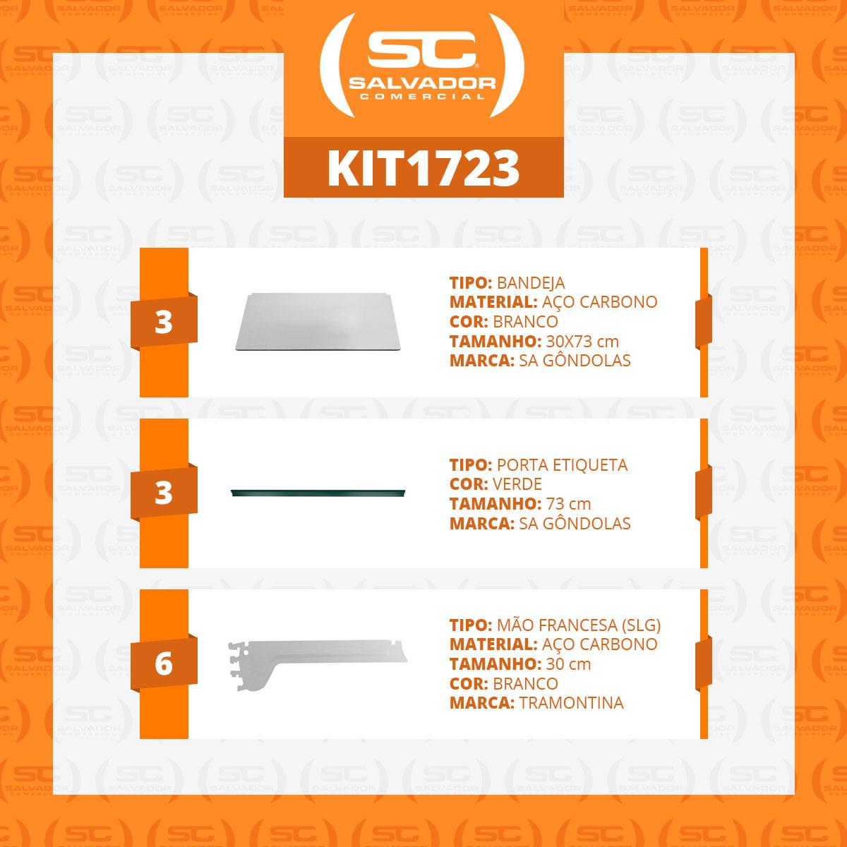 Kit 3 Bandejas Prateleiras Ponta 30x73 para Gôndolas New Plus com Porta Etiqueta Verde - SA Gôndolas