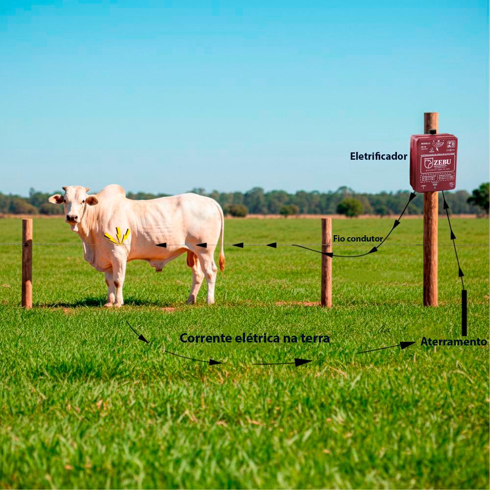 Eletrificador Elétrico de Cercas Médias Propriedades Até 25.000m ZK50 Bivolt - ZEBU 3531-9