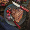 Jogo de Talheres Para Churrasco Jumbo Em Aço Inox Com Cabo Vermelho Polywood 12 Peças - Tramontina 21199796