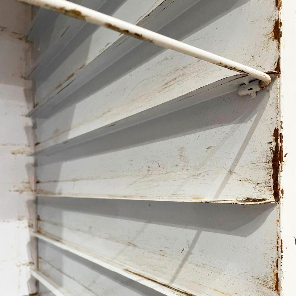 SEMINOVO - Kit Armário Crescimento Para 20 Esteiras AC20 + 26 Esteiras/formas - Venâncio