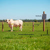 Eletrificador Cerca Elétrica Pequenas Propriedades 2TT3 Bivolt + Kit Para-raio + Voltímetro - Zebu