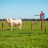 Eletrificador de Cercas Elétricas Para Grandes Propriedades ZK300 220V - ZEBU 2420-1