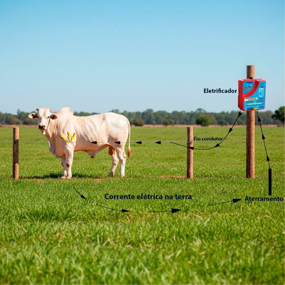 Eletrificador de Cercas Elétricas Para Grandes Propriedades ZK300 220V - ZEBU 2420-1