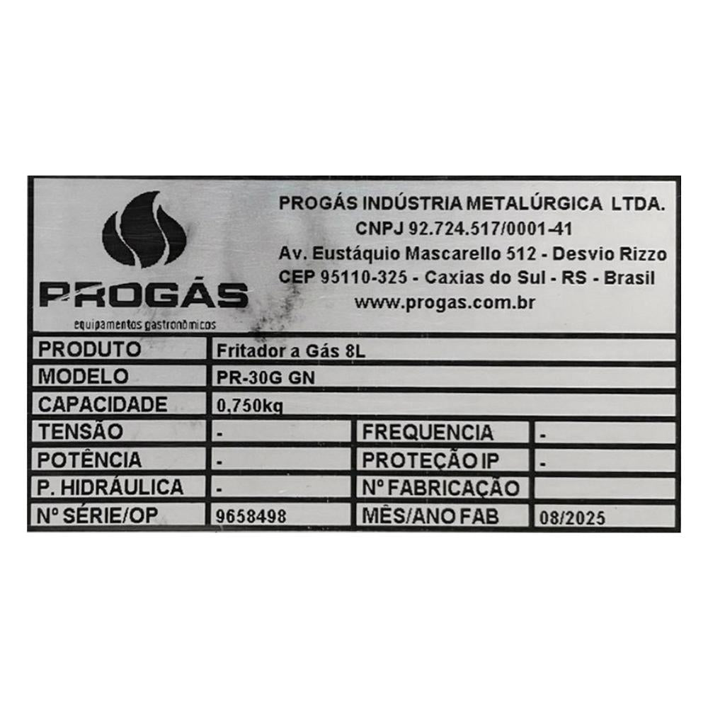 SEMINOVO - Fritadeira Profissional a Gás uma Cuba Grande retangular 10L Três Cestos Pr-30g - Progás