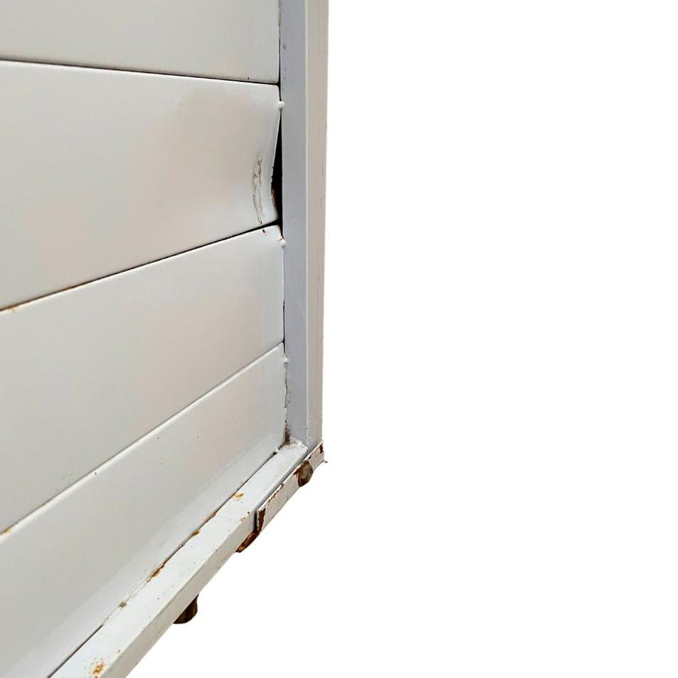 SEMINOVO - Kit Armário Crescimento Para 20 Esteiras AC20 + 26 Esteiras/formas - Venâncio