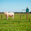 Eletrificador Elétrico de Cercas Pequenas Propriedades 4.500m PPCR Bivolt - ZEBU 3540-8
