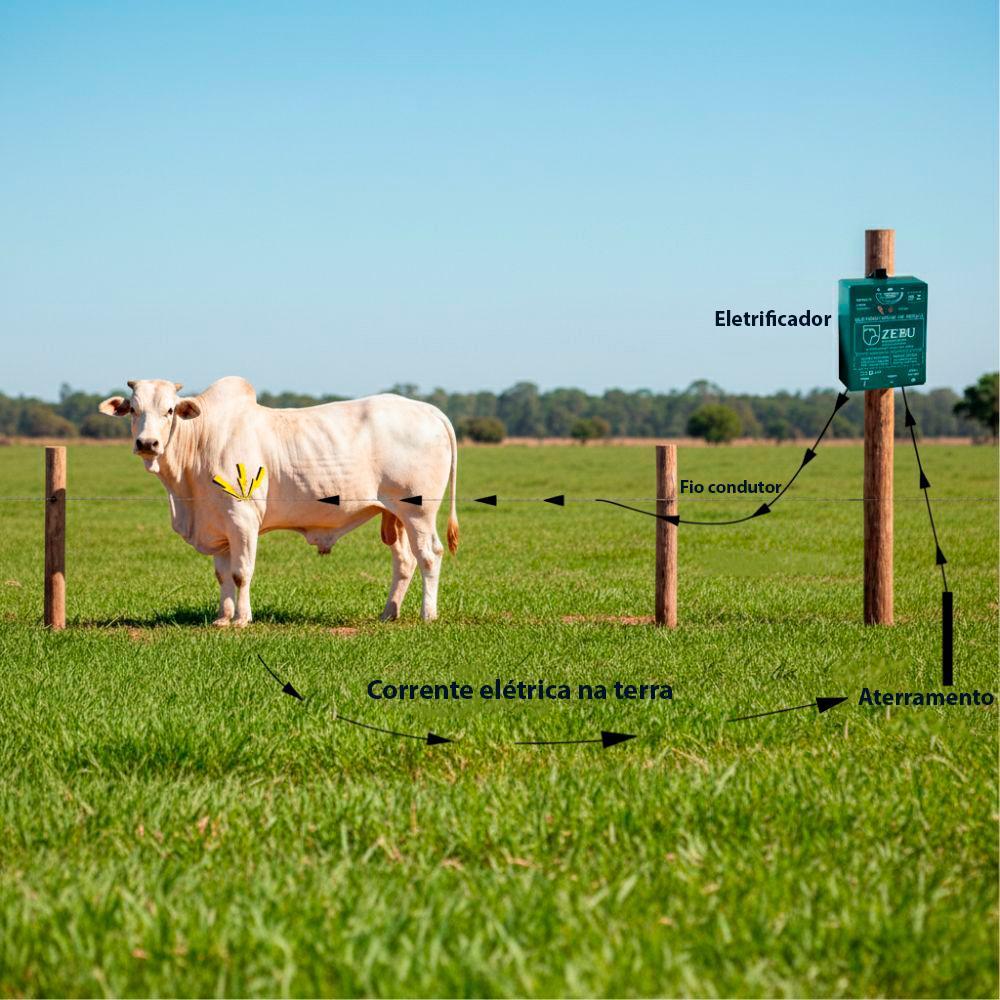 Eletrificador Elétrico de Cercas Pequenas Propriedades 4.500m PPCR Bivolt - ZEBU 3540-8