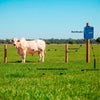 Eletrificador Elétrico de Cercas Grandes Propriedades Até 130.000m ZK200 Bivolt - Zebu 3649-8