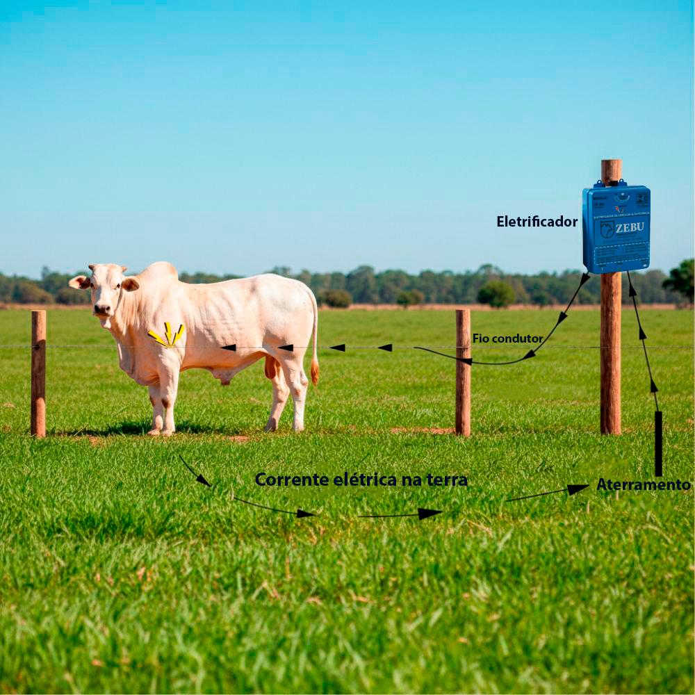 Eletrificador Elétrico de Cercas Grandes Propriedades Até 130.000m ZK200 Bivolt - Zebu 3649-8