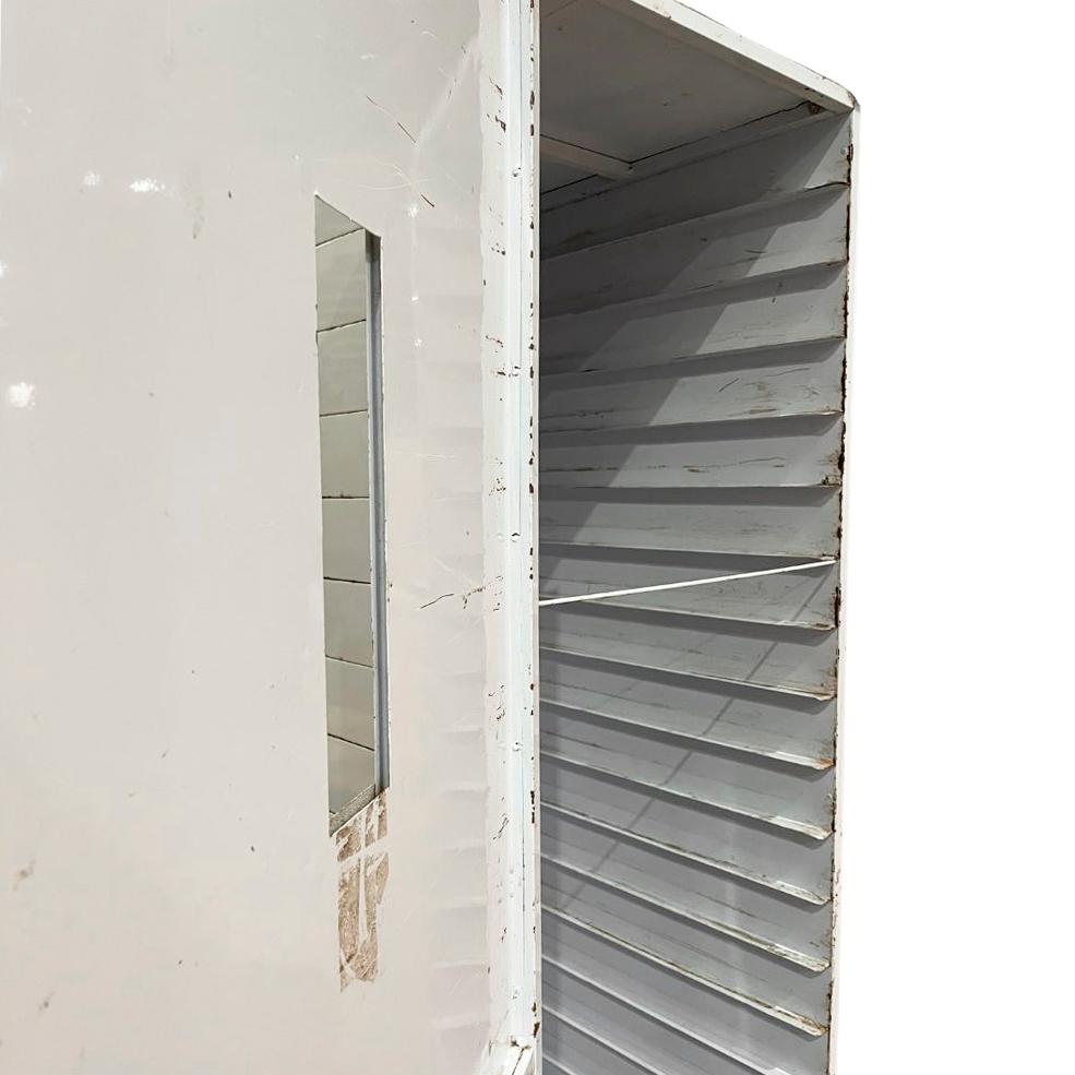 SEMINOVO - Kit Armário Crescimento Para 20 Esteiras AC20 + 26 Esteiras/formas - Venâncio