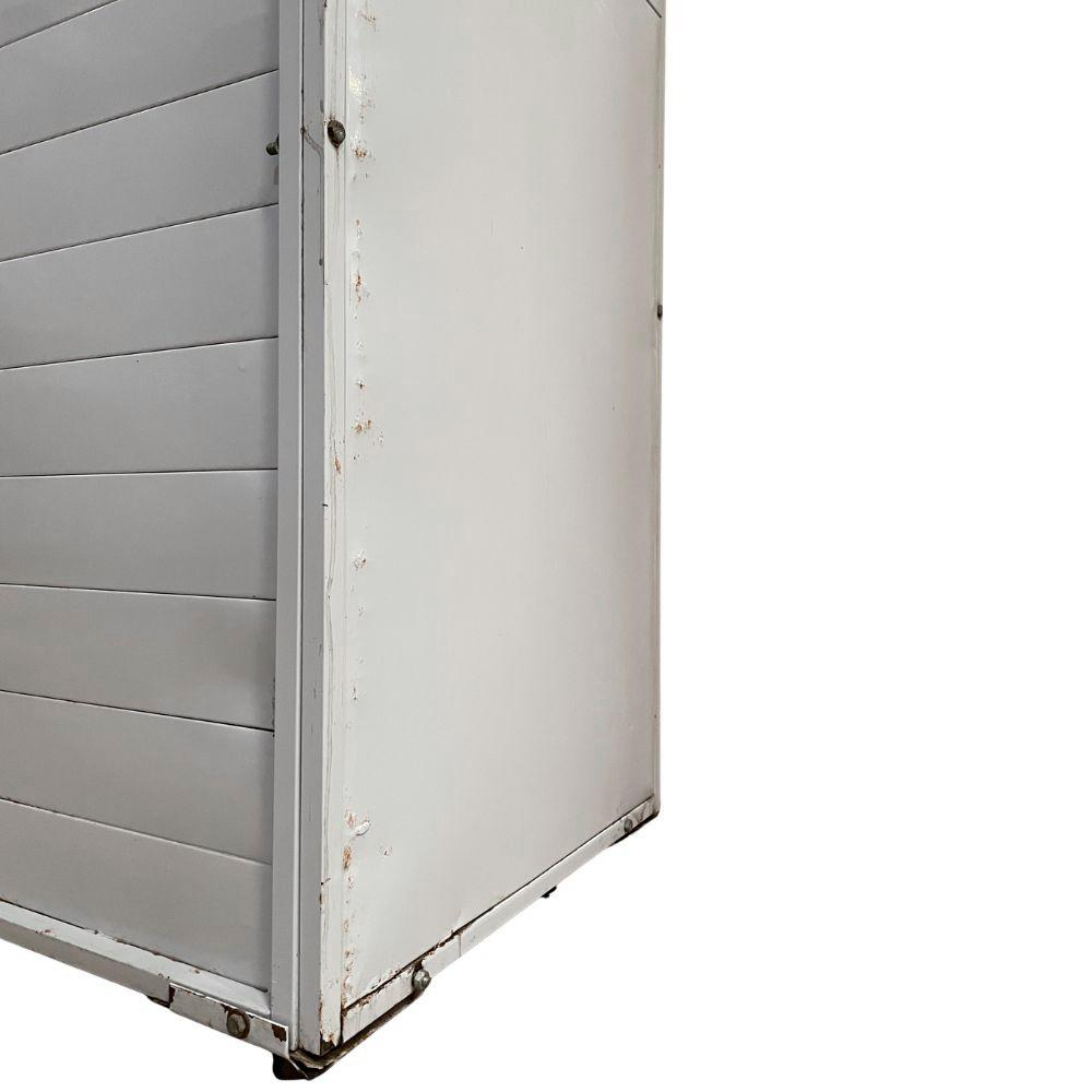 SEMINOVO - Kit Armário Crescimento Para 20 Esteiras AC20 + 26 Esteiras/formas - Venâncio