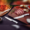 Ralador Queijo e Coco Profissional Restaurante Desfiador 3 Discos Rqc 220v Skymsen + 3 Facas Premium