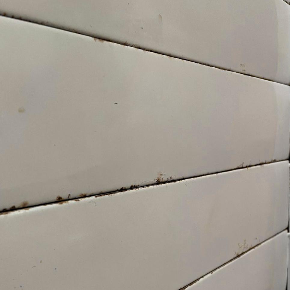 SEMINOVO - Kit Armário Crescimento Para 20 Esteiras AC20 + 26 Esteiras/formas - Venâncio